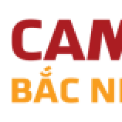 Camera Bắc Ninh 247